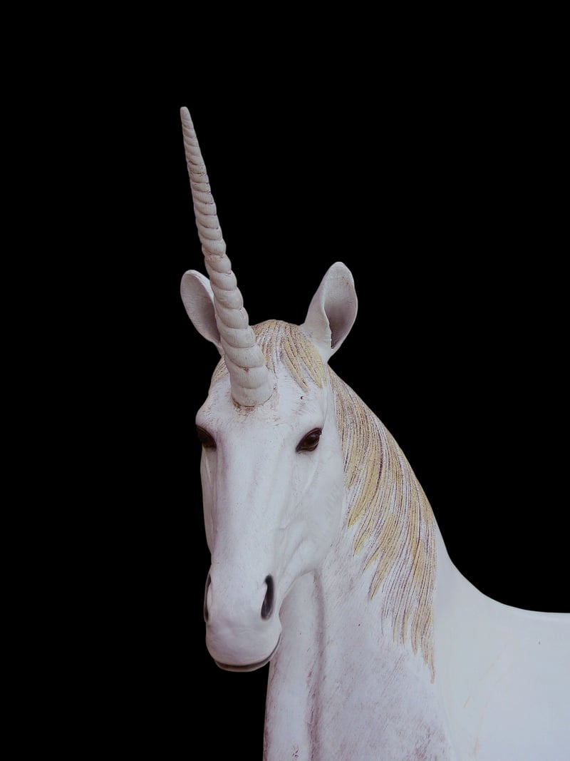 Unicorn Cafe